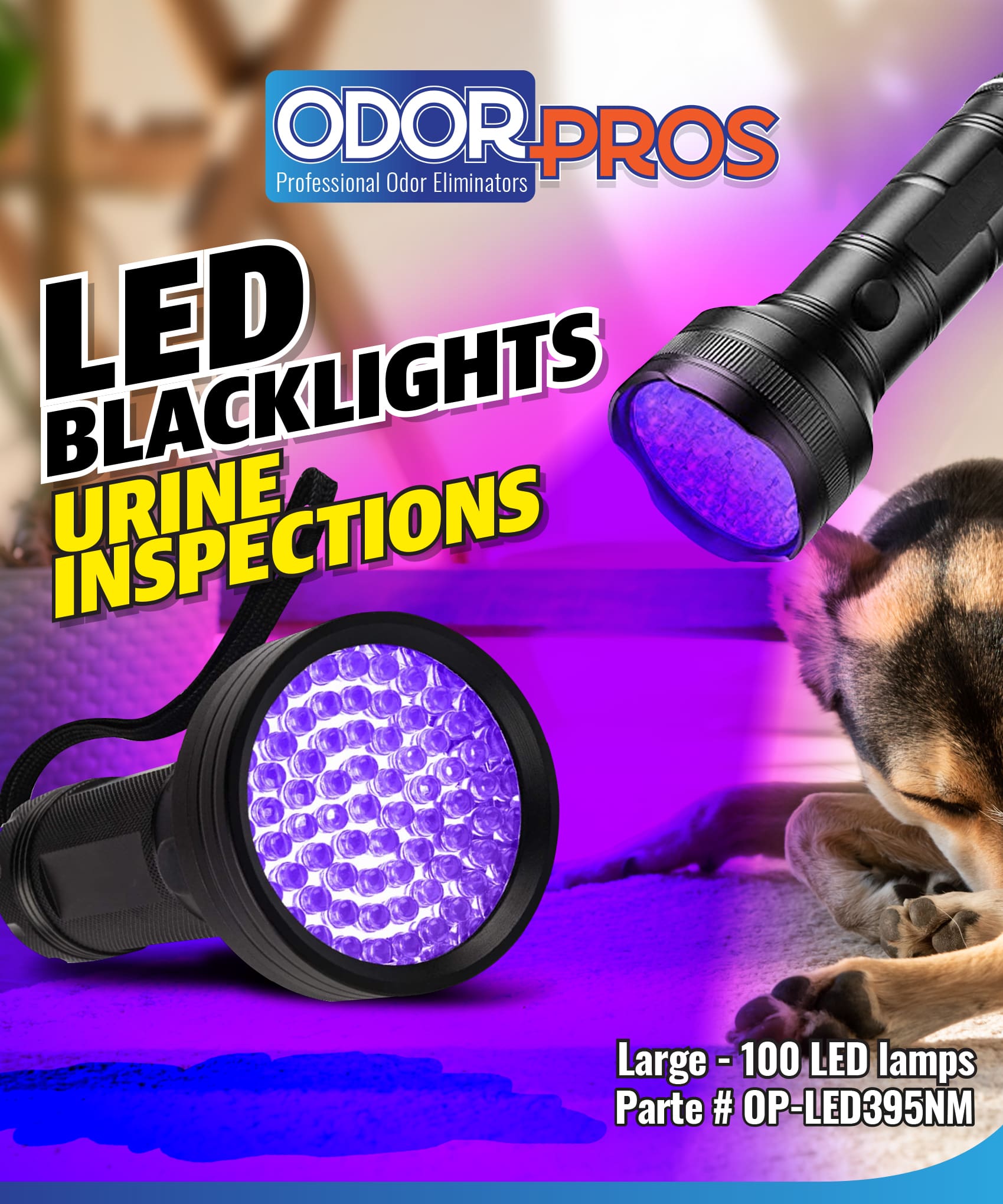Blacklight-Flashlight Store Panel